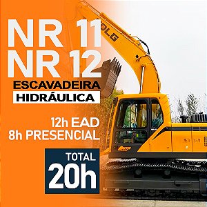 NR 11 e NR 12 - Operador Escavadeira Hidráulica (20 H. SemiPresencial) - Formação e Reciclagem