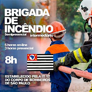 Brigada de Incêndio - Intermediário - IT 17 - São Paulo (8 H. Semipresencial)