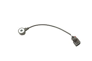 Sensor Detonação Ford Ecosport 1.5 Dragon 18 19 Gn1g12a669ba