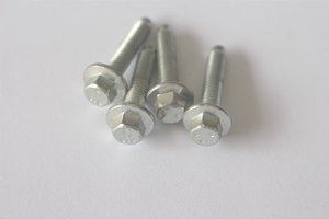 Parafusos Do Cavalete Agua Cabeçote Ford Ecosport 2.0 Gdi 18