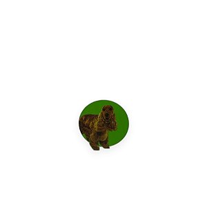 Bravecto Comprimido Mastigável para Cães de 10 a 20 kg - 500 mg