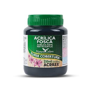 ACRILICA FOSCA 250ML PRETO