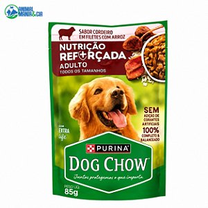 Sache Dog Chow Ad Cordeiro 100 G Cada