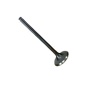Valvula de Escape Wgk CG 160