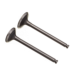 Valvula de Admissão e Escape WW3 Crypton 105/115 (Par)