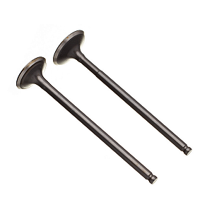 Valvula de Admissão/Escape WW3 Yes125 04/Intruder 125 07 Par