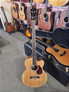 Baixolão Michael 4 cordas regulado elétrico