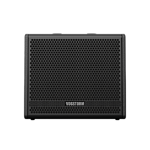 Amplificador Para Guitarra 12 Pol 100w Vosstorm Gx-12