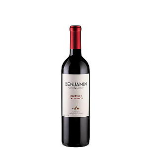 Vinho Nieto Senetiner Cabernet Sau. 750ml