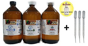 KIT DIOX SANITIZANTE COMPLETO 1500ml  (500+500+500)