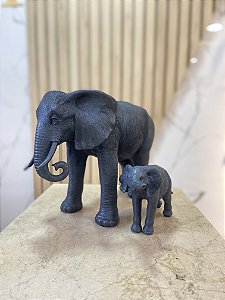 Elefante mãe e filho