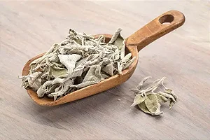 Sálvia - erva seca à granel