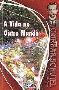 A Vida no Outro Mundo