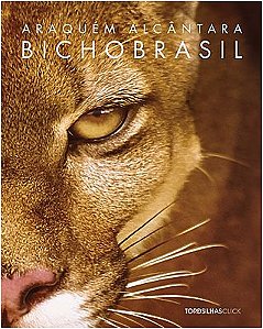 Bicho Brasil