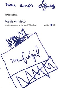 Poesia em Risco: Itinerarios para Aportar Nos Anos 1970 e Alem