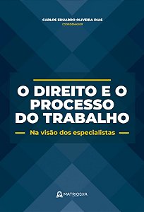 Direito e o Processo do Trabalho, O: na Visao dos Especialistas
