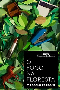 Fogo na Floresta, O