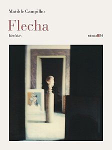 Flecha: Historias