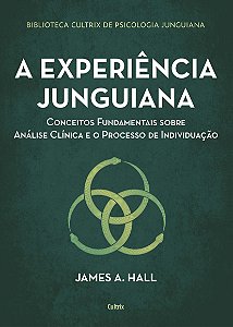 Experiencia Junguiana, a - Conceitos Fundamentais sobre Analise Clinica e O