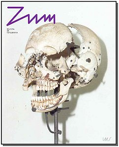 Zum - Vol.12 - Fotografia Contemporanea