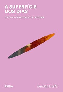 A Superficie dos Dias: o Poema Como Modo de Perceber