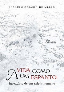Vida Como Um Espanto, a - Inventario de Um Existir Humano