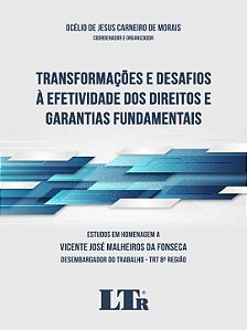 Transformacoes e Desafios a Efetividade dos Direitos e Garantias Fundamenta