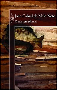 Cao sem Plumas, O