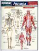 Resumao Escolar - Anatomia - Ensino Fundamental