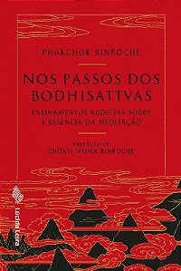 Nos Passos dos Bodhisattvas: Ensinamentos Budistas sobre a Essencia da Medi