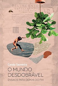 Mundo Desdobravel, O: Ensaios para Depois do Fim