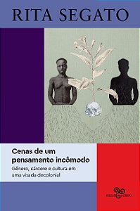Cenas de Um Pensamento Incomodo: Genero, Carcere e Cultura em Uma Visada de