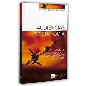 Audiências de Custódia - Aspectos Constitucionais, Penais, Econômicos e Imi