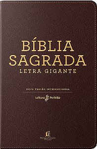 Biblia Leitura Perfeita Letra Gigante (capa Neutra)