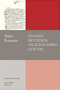 Ensaios Reunidos: Escritos sobre Goethe