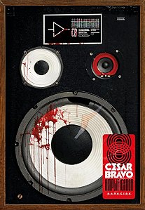 Amplificador