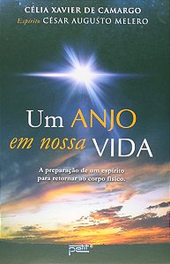 Anjo em Nossa Vida, Um - a Perparacao de Um Espirito para Retornar ao Corpo