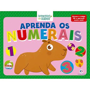 Aprenda os Numerais