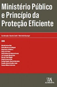 Ministerio Publico e Principio da Protecao Eficiente