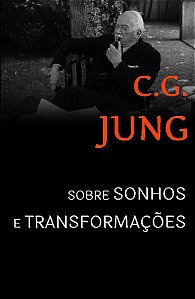 Sobre Sonhos e Transformacoes - Sessoes de Perguntas em Zurique