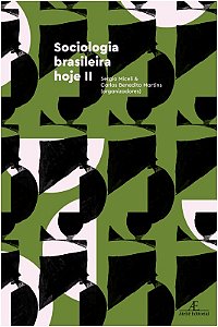 Sociologia Brasileira Hoje Ii