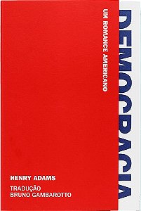 Democracia - Um Romance Americano