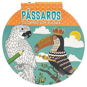 Colorindo com Alegria: Passaros