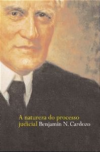 Natureza do Processo Judicial, A