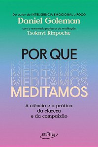 Por Que Meditamos: a Ciencia e a Pratica da Clareza e da Compaixao