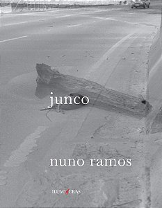 Junco