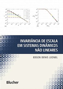 Invariancia de Escala em Sistemas Dinamicos Nao Lineares
