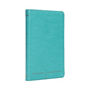 Biblia Sagrada Luxo Slim: Courosoft Verde Agua: Nova Versao Internacional