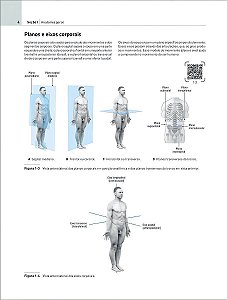 EVA Atlas de Anatomia - A Nova Era da Anatomia - 01Ed/25