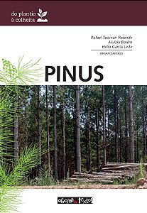 Pinus: Do Plantio À Colheita